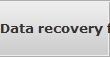 Data recovery for Seaford data