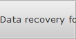 Data recovery for Seaford data